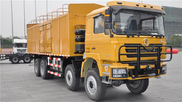 Shacman F3000 8x4 Cargo Truck Price for Sale In Nigeria