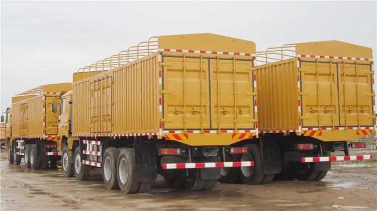 Shacman F3000 8x4 Cargo Truck Price for Sale In Nigeria