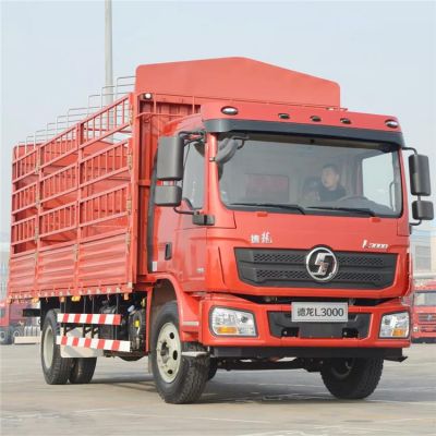 Shacman Lorry Truck 4x2